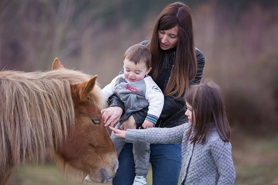 reportaje infantil en el monte con caballos
