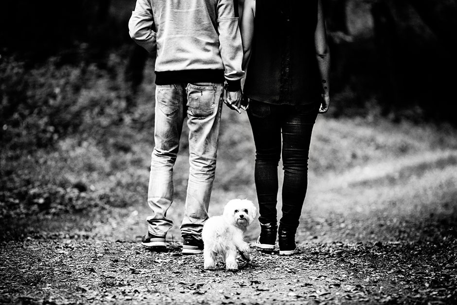 pareja de espaldas paseando a su perro en una preboda en navarra