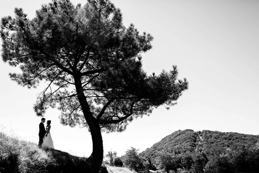 reportaje de fotos de una boda en guadalupe en la campa