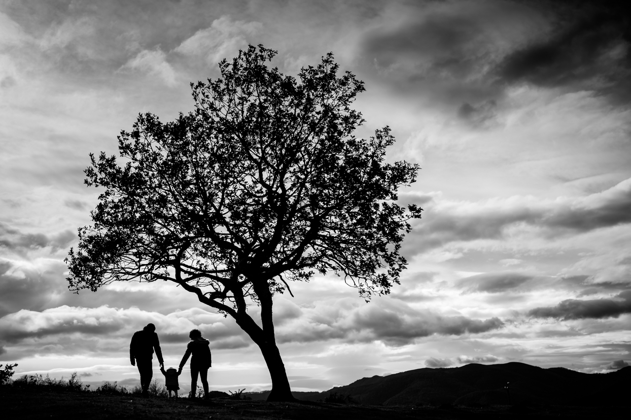 silueta de una familia a contraluz bajo un árbol