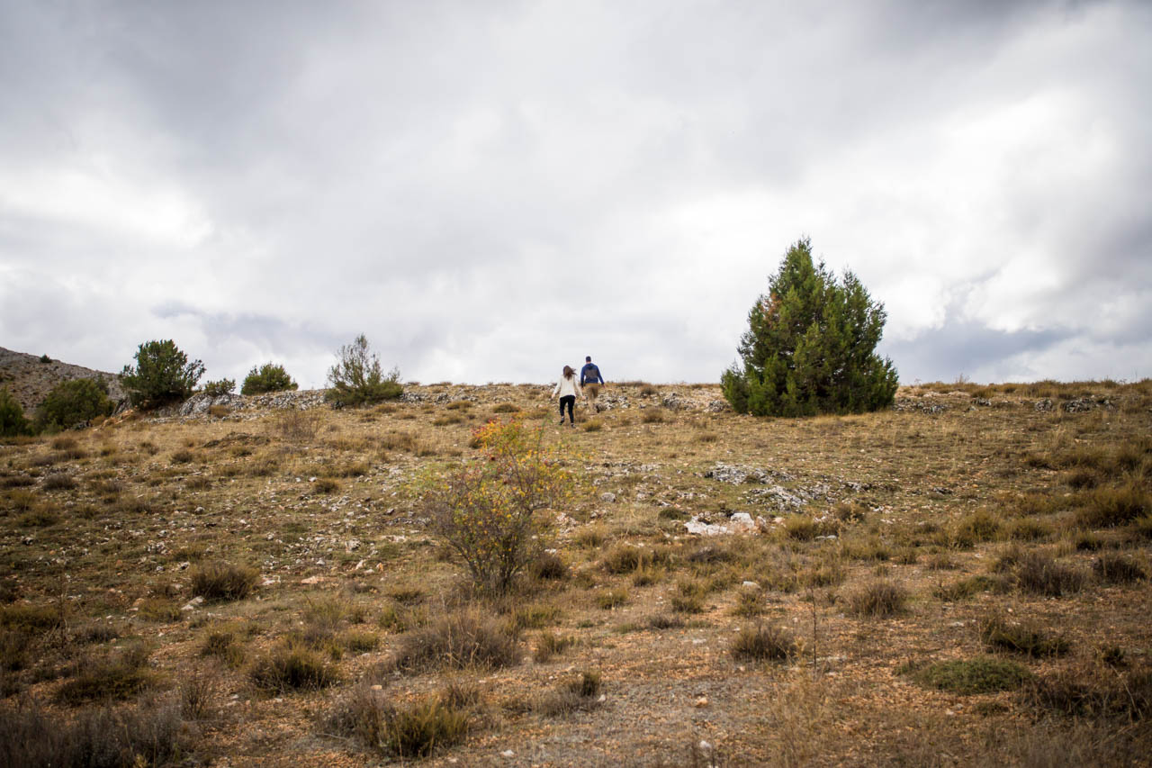 los novios paseando por una campa en una preboda en Soria